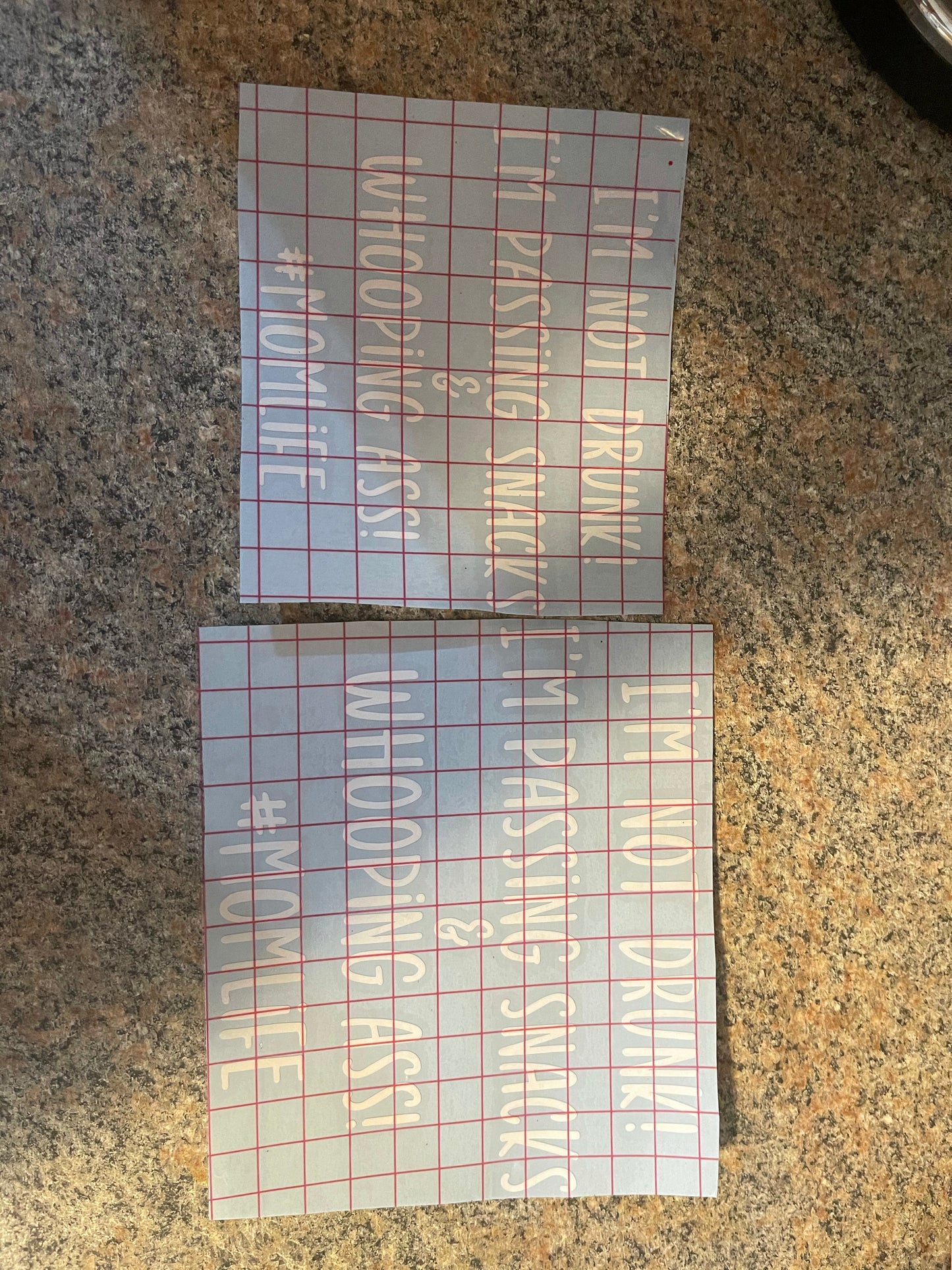 I’m not drunk I’m passing snacks Decal